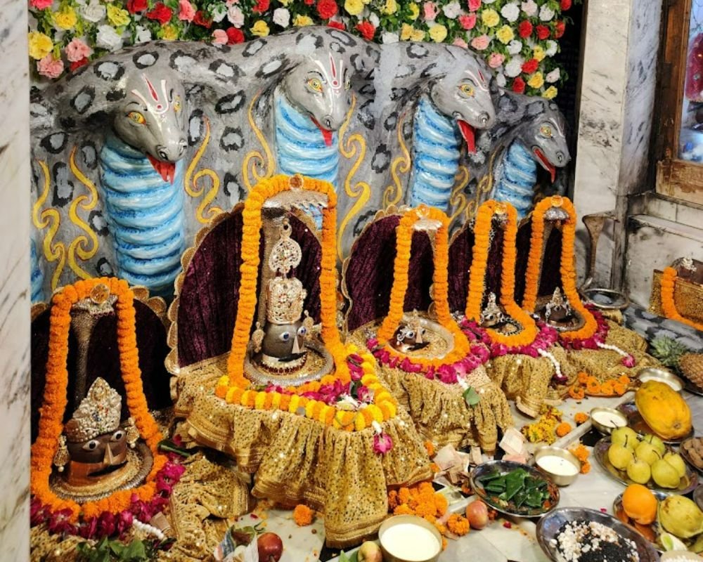 Takshkeshwer Nath Temple